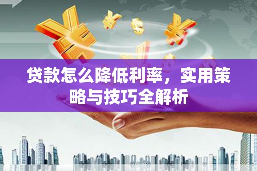 保亭贷款怎么降低利率，实用策略与技巧全解析