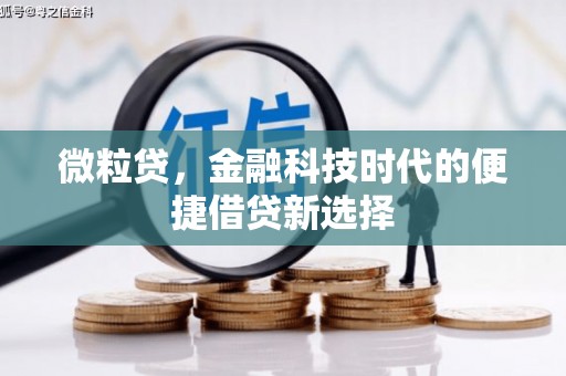 保亭微粒贷，金融科技时代的便捷借贷新选择