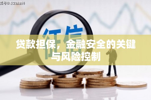 保亭贷款担保，金融安全的关键与风险控制