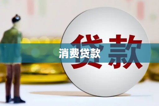 保亭消费贷款