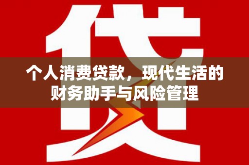 保亭个人消费贷款，现代生活的财务助手与风险管理