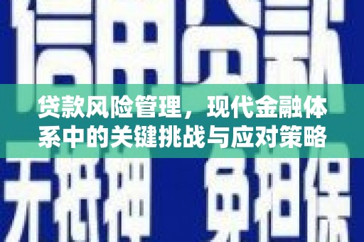 保亭贷款风险管理，现代金融体系中的关键挑战与应对策略