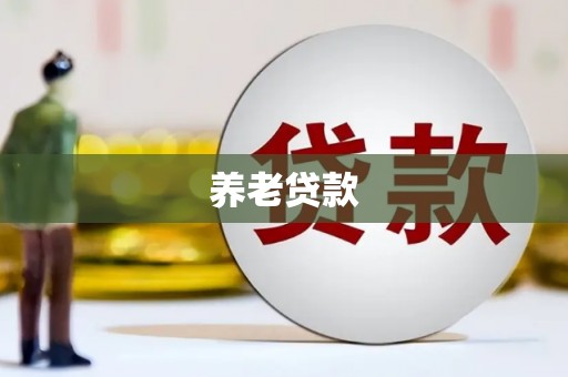 保亭养老贷款