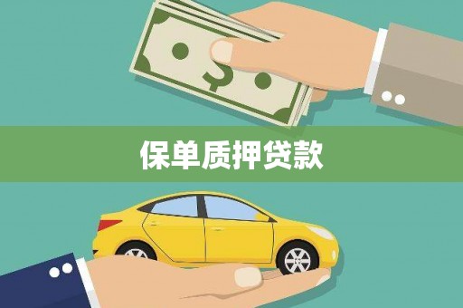 保亭保单质押贷款