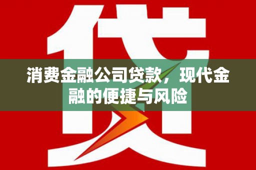 保亭消费金融公司贷款，现代金融的便捷与风险