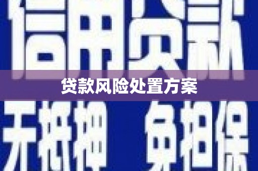 保亭贷款风险处置方案