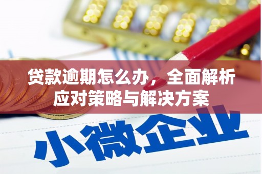 保亭贷款逾期怎么办，全面解析应对策略与解决方案