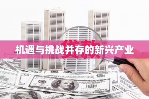 保亭机遇与挑战并存的新兴产业