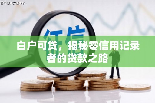 保亭白户可贷，揭秘零信用记录者的贷款之路