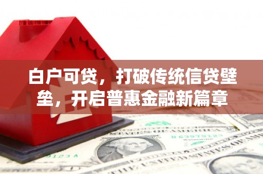 保亭白户可贷，打破传统信贷壁垒，开启普惠金融新篇章