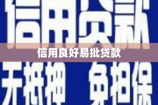 保亭信用良好易批贷款