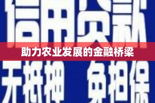 保亭助力农业发展的金融桥梁