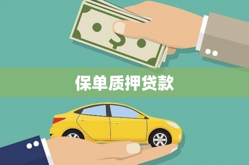 保亭保单质押贷款