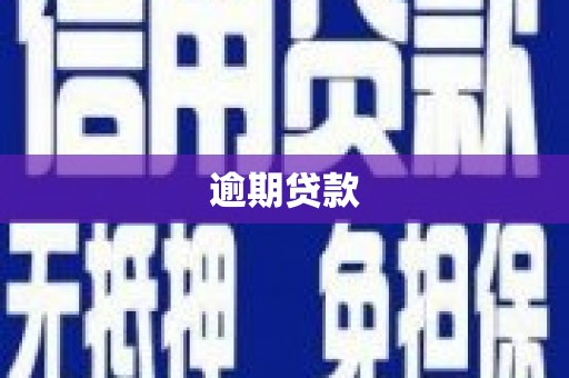 保亭逾期贷款