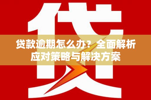 保亭贷款逾期怎么办？全面解析应对策略与解决方案
