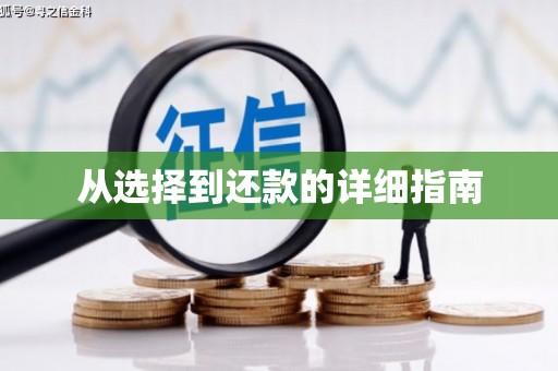 保亭从选择到还款的详细指南