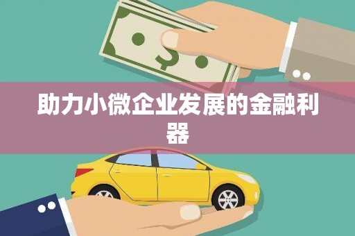 保亭助力小微企业发展的金融利器