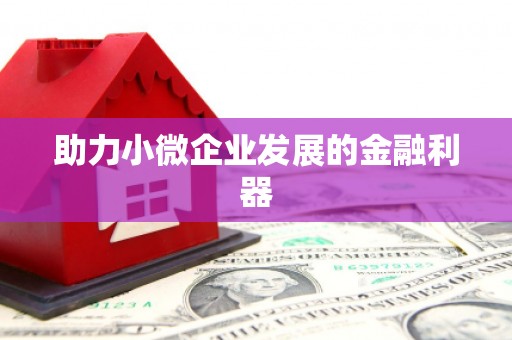 保亭助力小微企业发展的金融利器