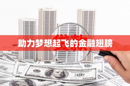 保亭助力梦想起飞的金融翅膀