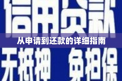 保亭从申请到还款的详细指南