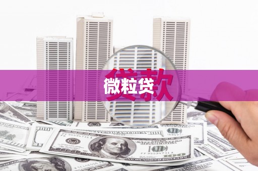 保亭微粒贷