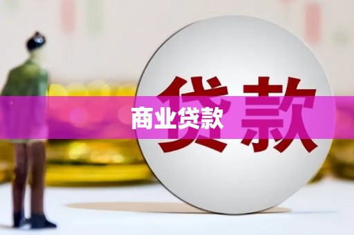 保亭商业贷款