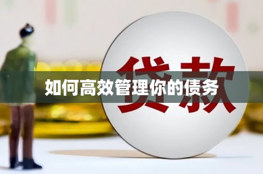 保亭如何高效管理你的债务