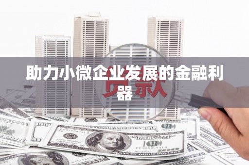 保亭助力小微企业发展的金融利器