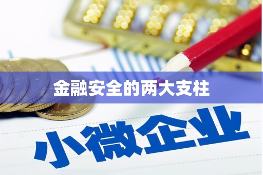 保亭金融安全的两大支柱
