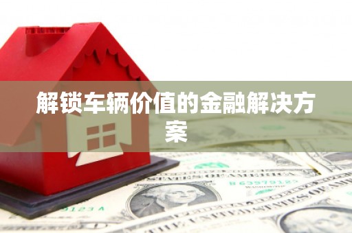 保亭解锁车辆价值的金融解决方案