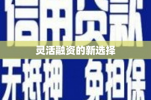 保亭灵活融资的新选择