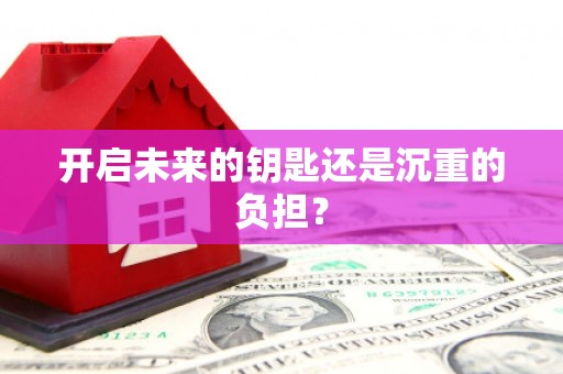 保亭开启未来的钥匙还是沉重的负担？