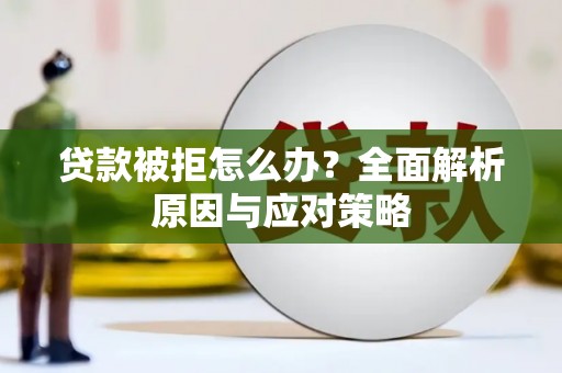 保亭贷款被拒怎么办？全面解析原因与应对策略