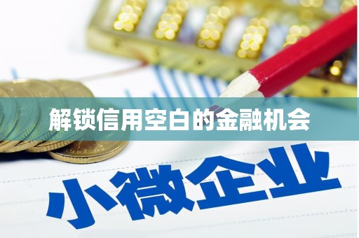 保亭解锁信用空白的金融机会