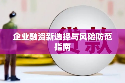 保亭企业融资新选择与风险防范指南