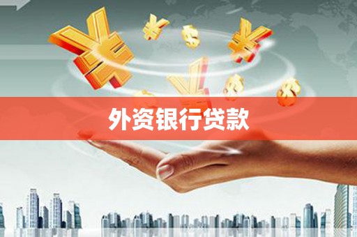 保亭外资银行贷款