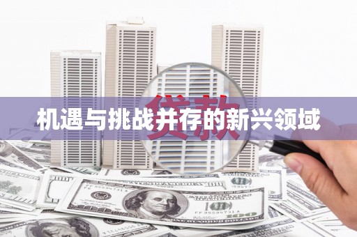 保亭机遇与挑战并存的新兴领域