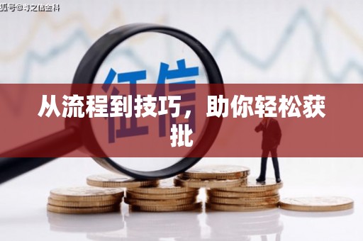 保亭从流程到技巧，助你轻松获批
