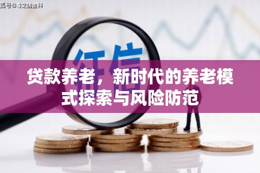 保亭贷款养老，新时代的养老模式探索与风险防范