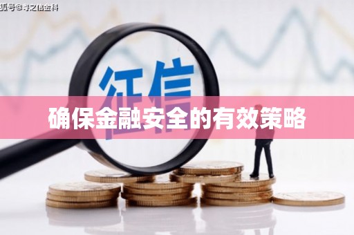保亭确保金融安全的有效策略