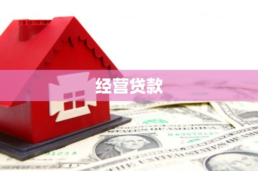 保亭经营贷款