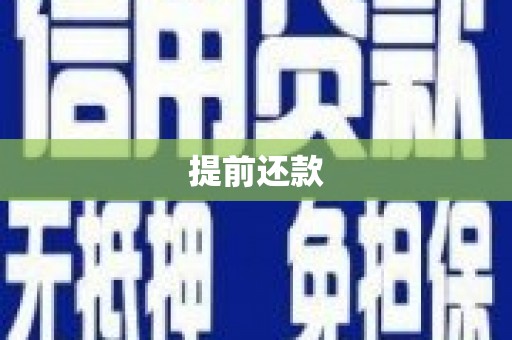 保亭提前还款