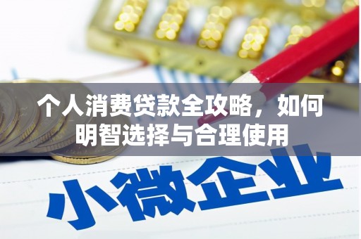 保亭个人消费贷款全攻略，如何明智选择与合理使用