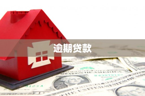 保亭逾期贷款