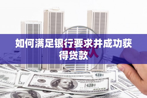保亭如何满足银行要求并成功获得贷款