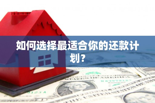 保亭如何选择最适合你的还款计划？