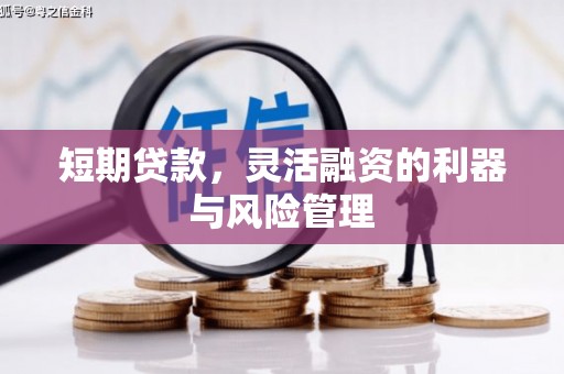保亭短期贷款，灵活融资的利器与风险管理
