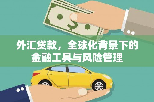 保亭外汇贷款，全球化背景下的金融工具与风险管理
