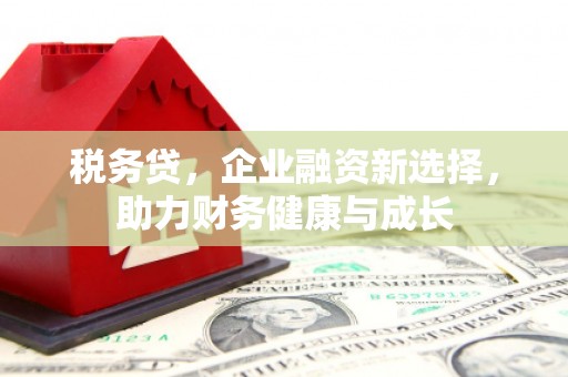 保亭税务贷，企业融资新选择，助力财务健康与成长