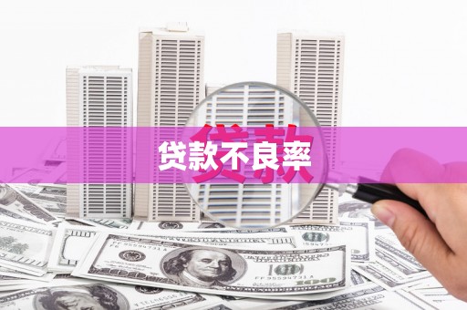 保亭贷款不良率